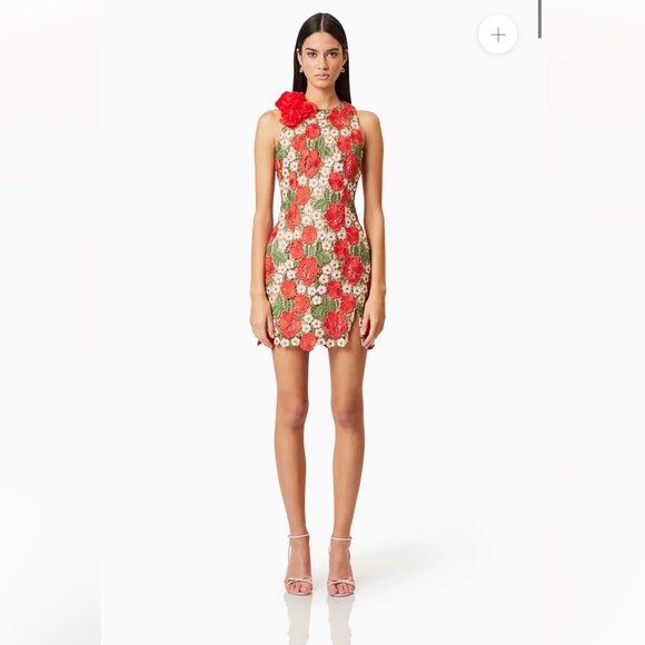 elliatt roselyn red 3d rosette flower lace guipure mini dress size small NEW - Picture 3 of 12